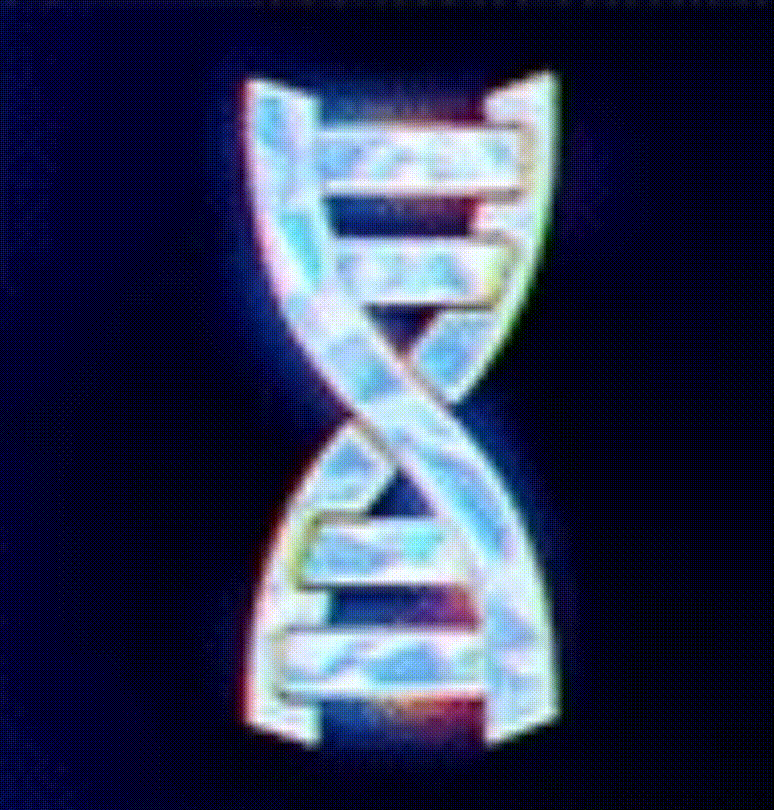 Animated DNA helix
